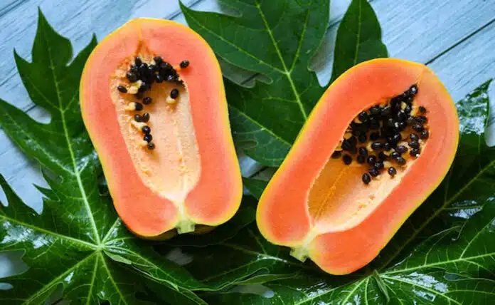 Papaya leaves and seeds are very beneficial for health, know why they should be consumed on an empty stomach.