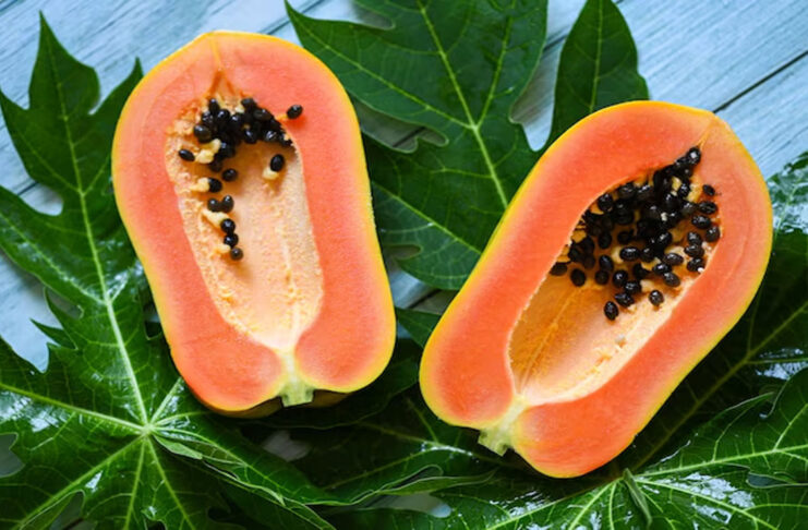 Papaya leaves and seeds are very beneficial for health, know why they should be consumed on an empty stomach.