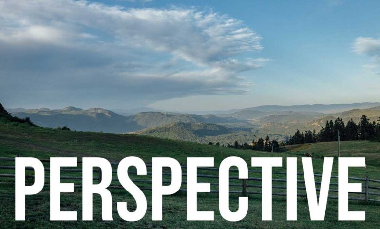 Perspective: A unique way of looking at life