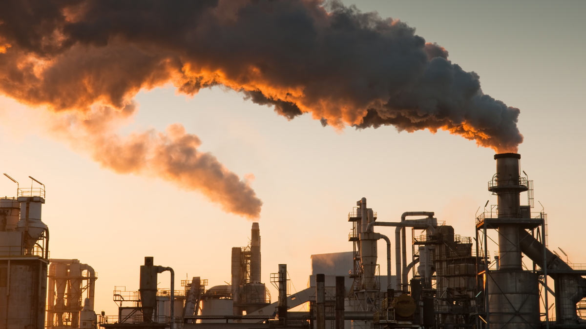 Know about the main causes and effects of pollution