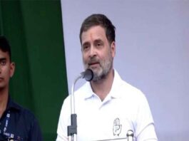 Rahul Gandhi campaign for Priyanka in Wayanad