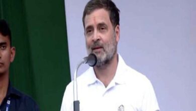 Rahul Gandhi campaign for Priyanka in Wayanad