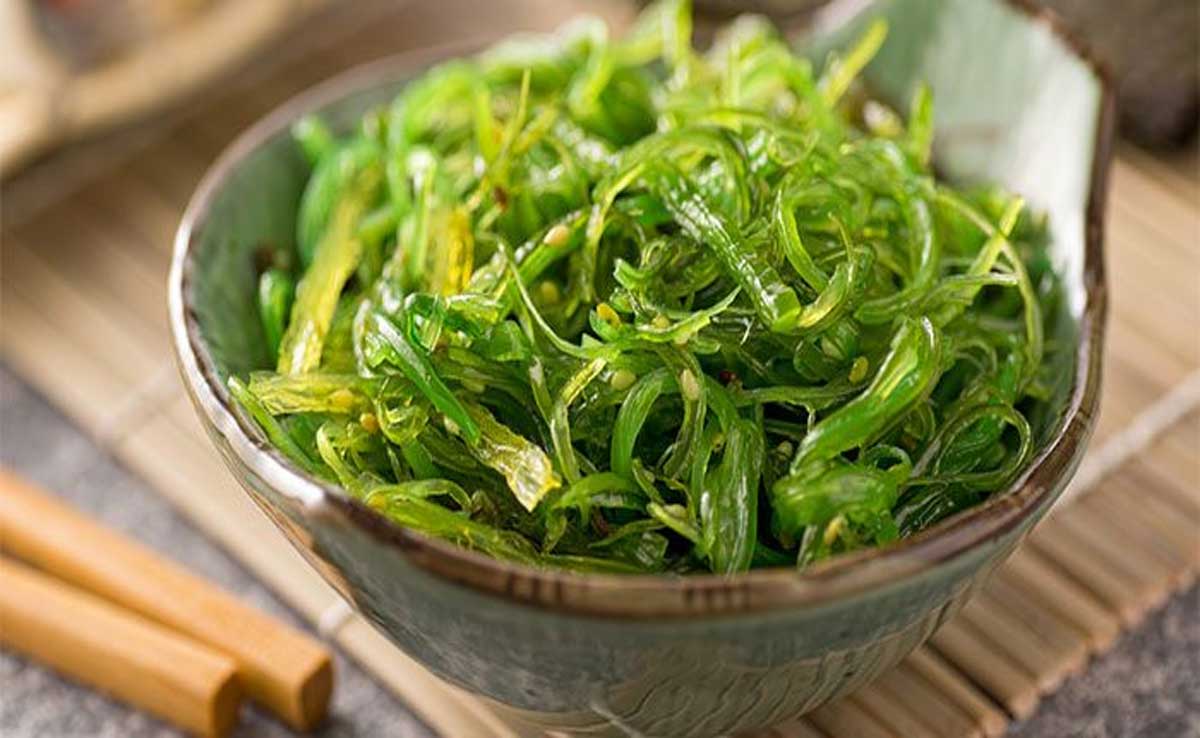 Seaweed: The Green Gold of the Sea