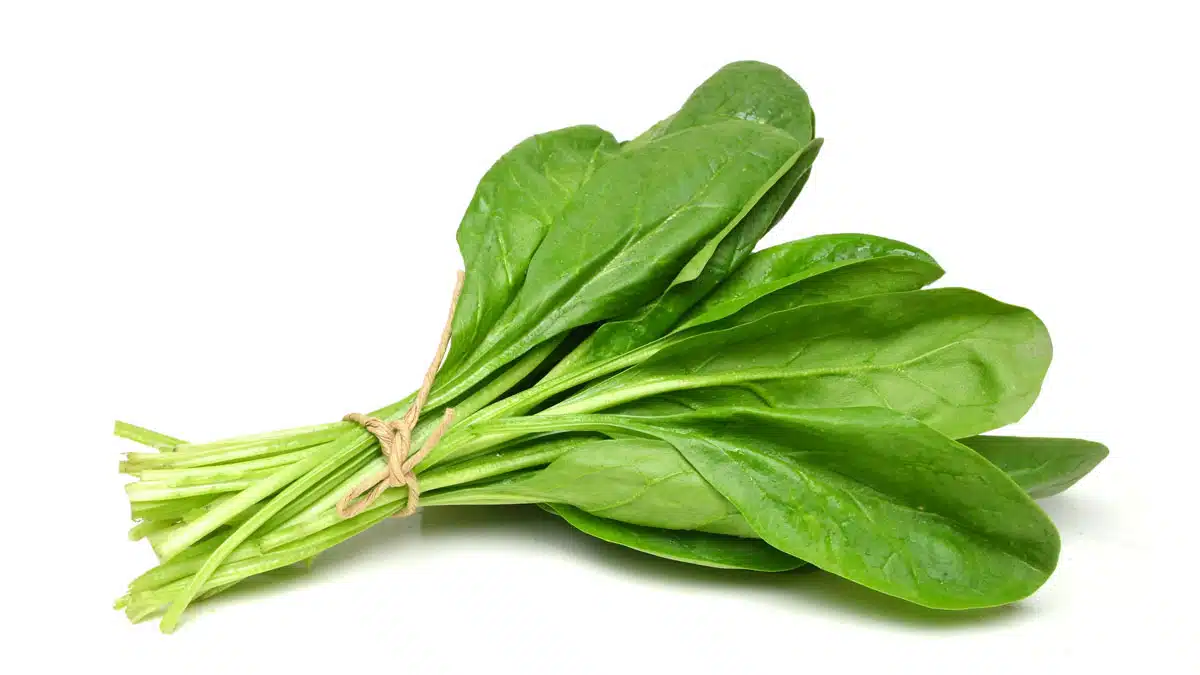 Spinach: A natural source of thick and healthy hair