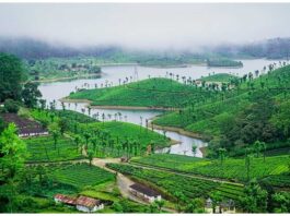 Tamil Nadu's amazing natural landscape