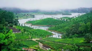 Tamil Nadu's amazing natural landscape