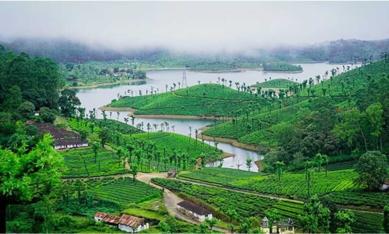 Tamil Nadu's amazing natural landscape
