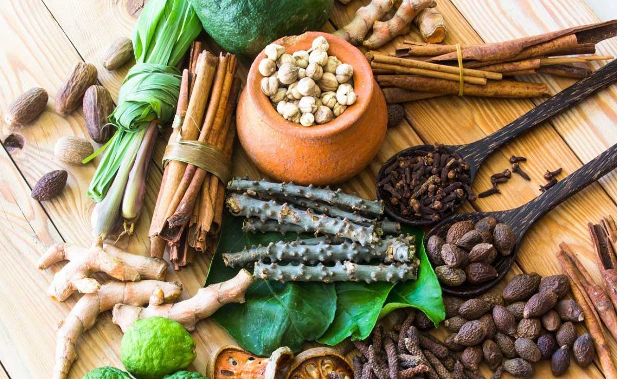 The Timeless Wisdom of Ayurveda