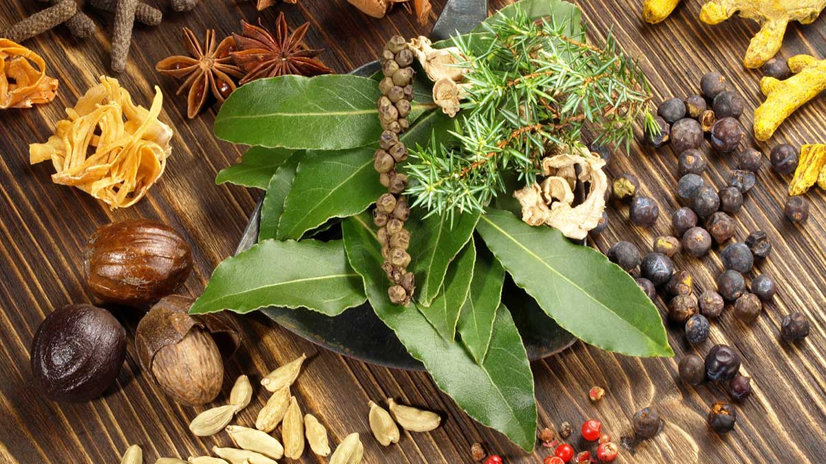 The Timeless Wisdom of Ayurveda