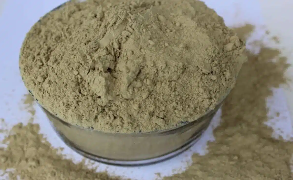 Trikatu Churna Cold and cough due to weather change? Consume this Ayurvedic powder to get relief