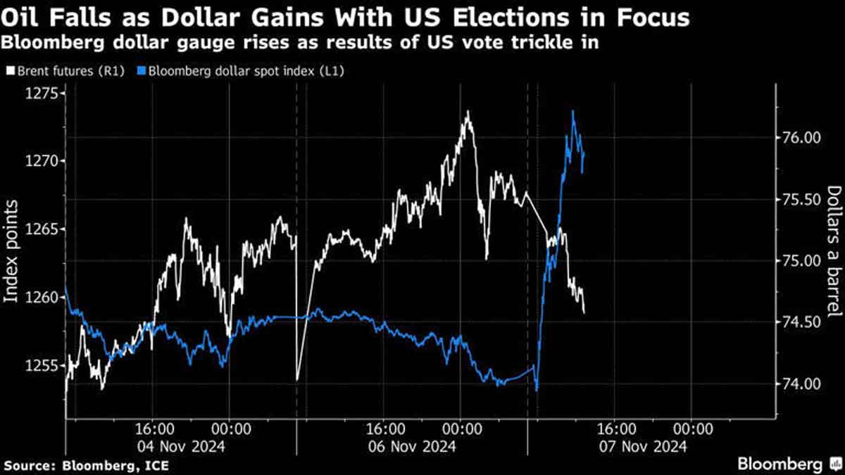 US Dollar rises in 2024 US elections