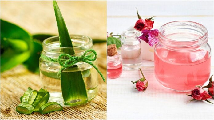 What happens if you apply aloe vera mixed with rose water