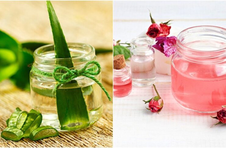 What happens if you apply aloe vera mixed with rose water