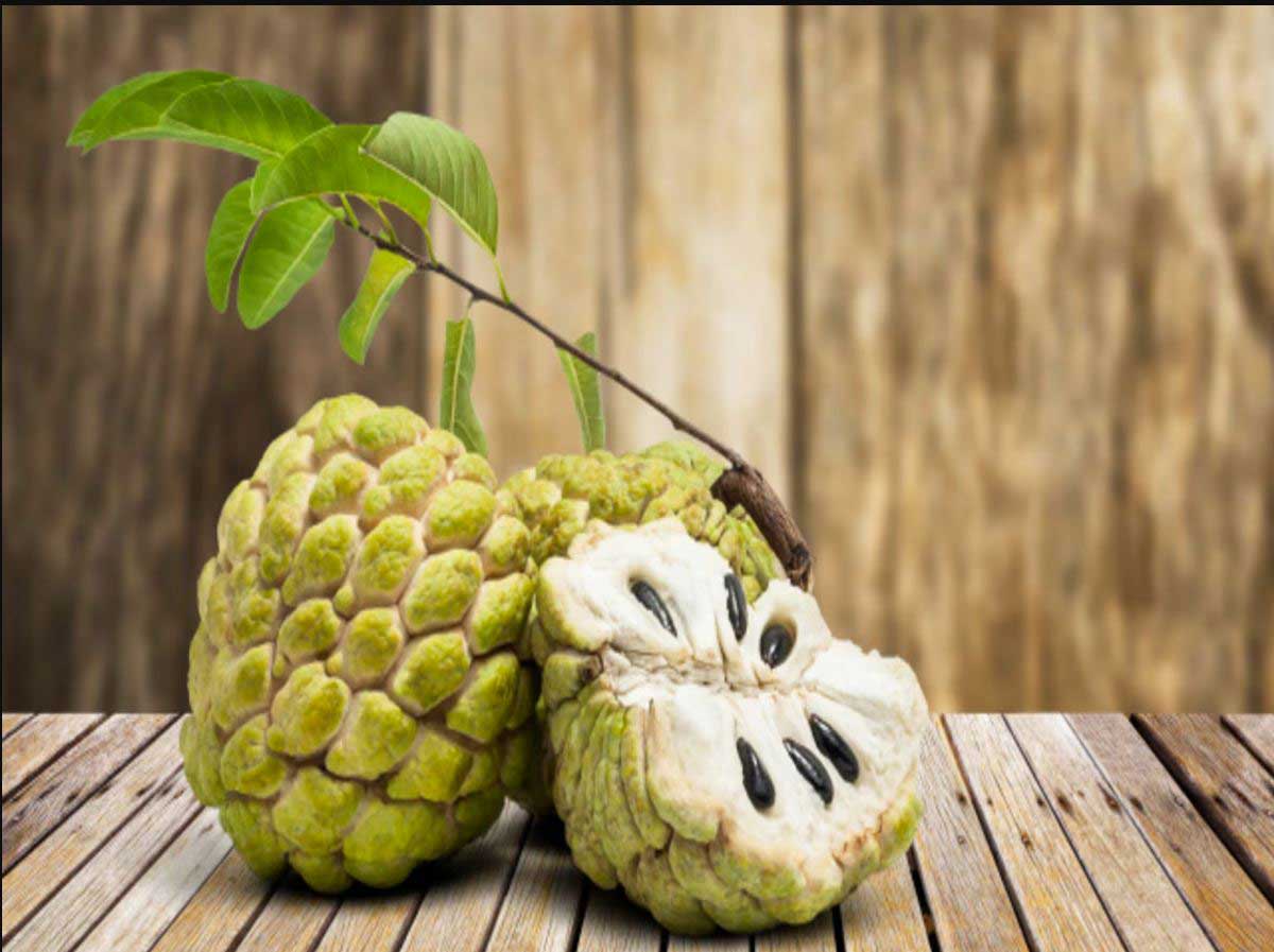 What happens if you eat custard apple?