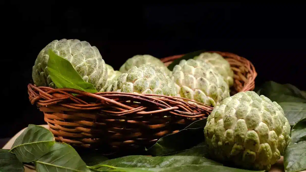 What happens if you eat custard apple?