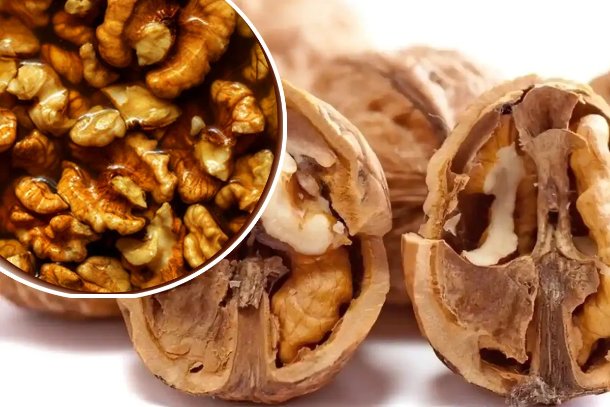 What happens if you eat soaked walnuts every day?