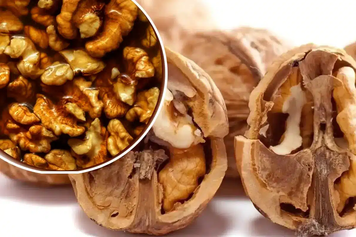 What happens if you eat soaked walnuts every day?