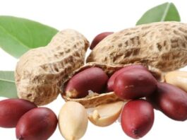 Which vitamin is found in peanuts