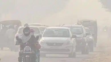 Delhi government announces work from home for 50% employees to reduce pollution