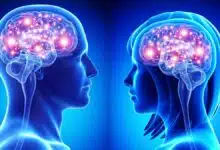 6 Everyday Foods That Help Improve Brain Power