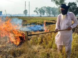 Delhi: Center doubles fine on stubble burning, check new penalty charges