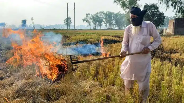 Delhi: Center doubles fine on stubble burning, check new penalty charges