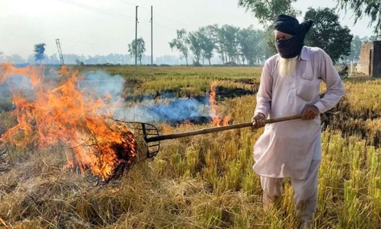 Delhi: Center doubles fine on stubble burning, check new penalty charges
