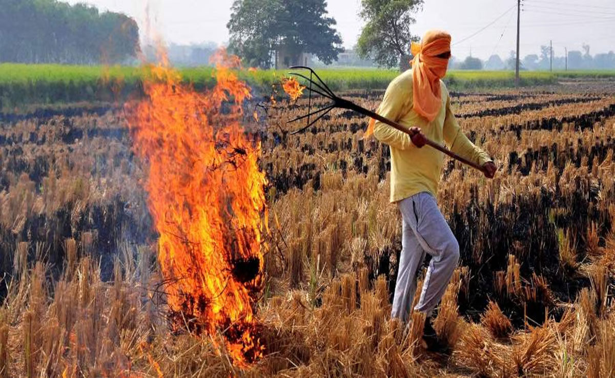 
Delhi: Center doubles fine on stubble burning, check new penalty charges