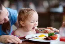 Impact of nutrition on child development and learning