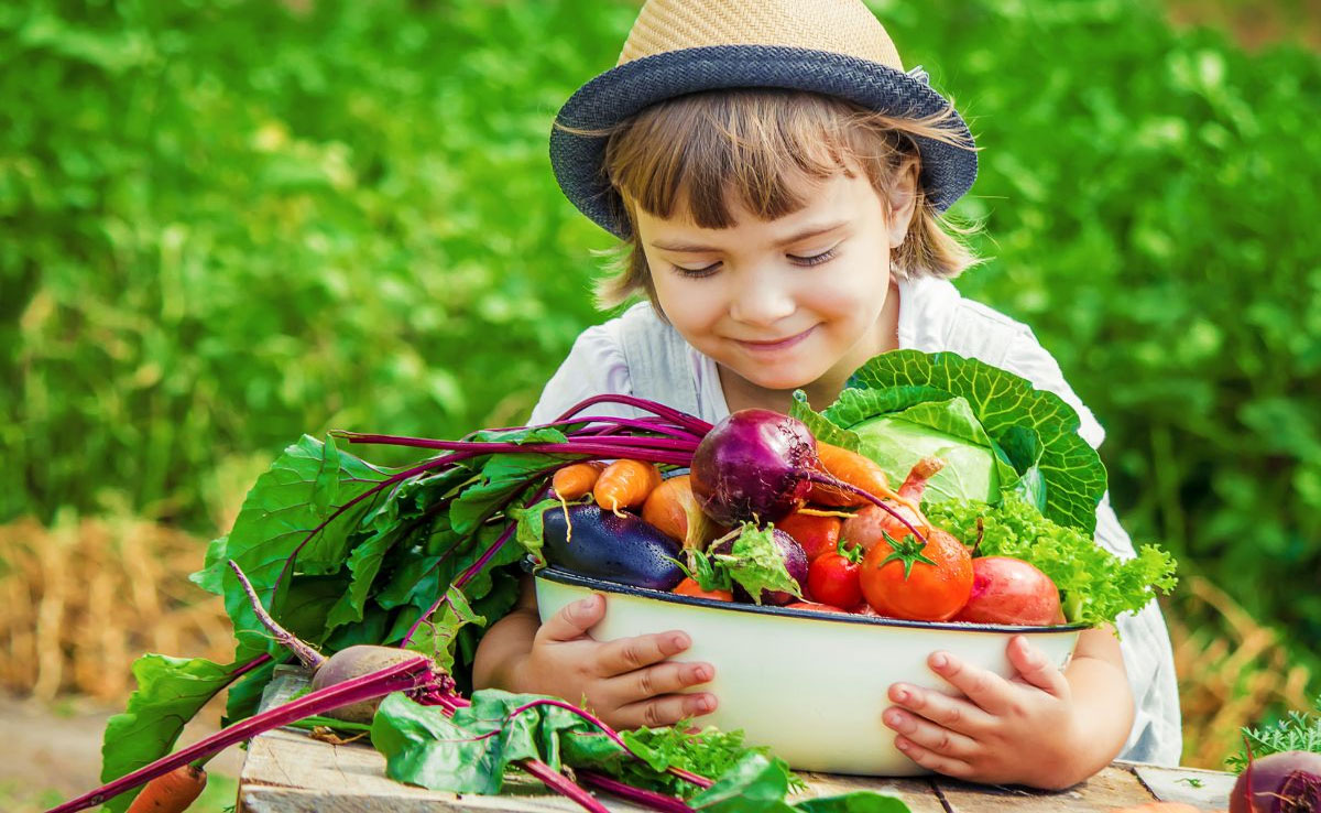 Impact of nutrition on child development and learning