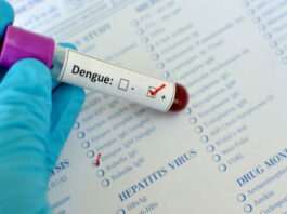 The Role of Climate Change in Dengue Spread