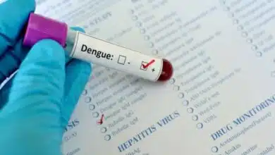 The Role of Climate Change in Dengue Spread