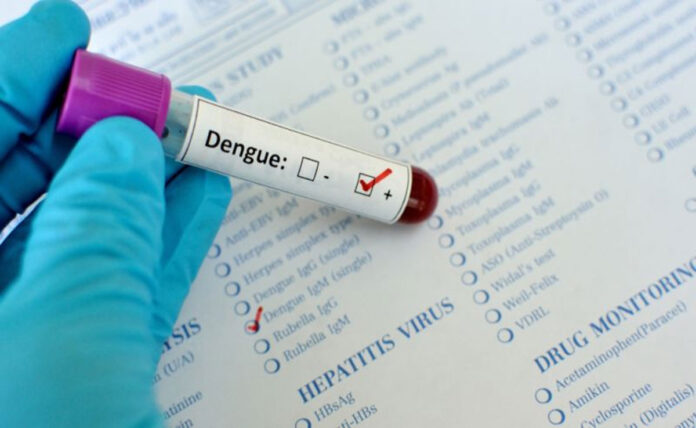 The Role of Climate Change in Dengue Spread