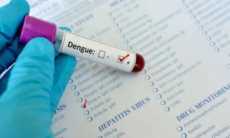 The Role of Climate Change in Dengue Spread