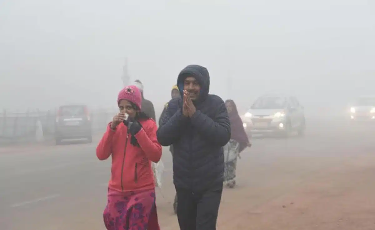 Delhi: Fog likely to prevail in national capital, IMD predicts more cold