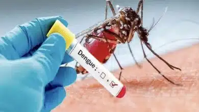 Understanding the global impact of dengue fever