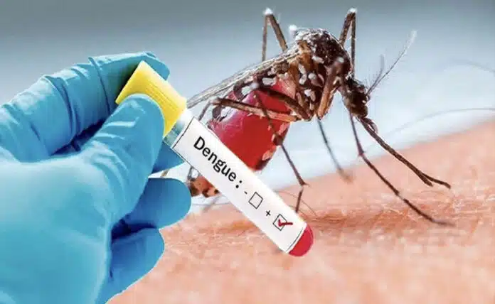 Understanding the global impact of dengue fever