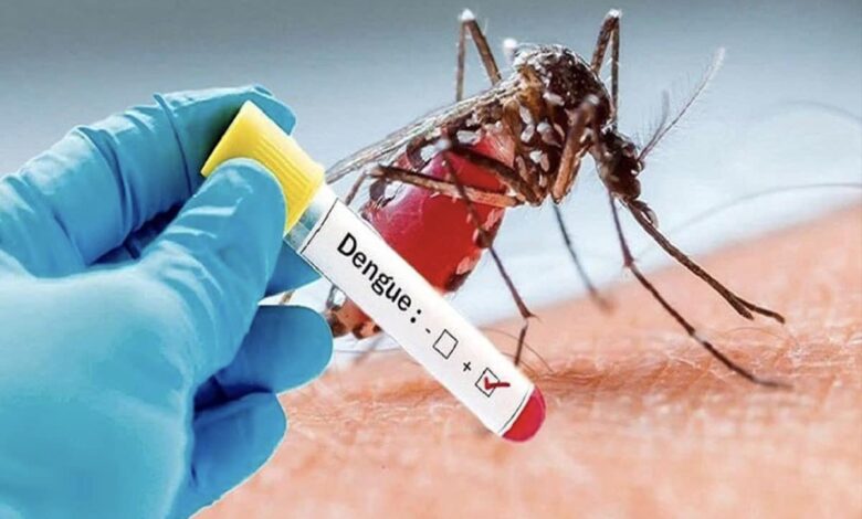 Understanding the global impact of dengue fever