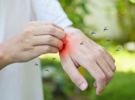 What Are the Long-Term Effects of Dengue