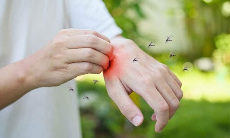What Are the Long-Term Effects of Dengue