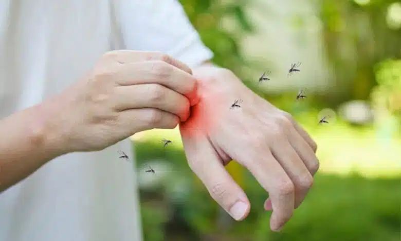 What Are the Long-Term Effects of Dengue