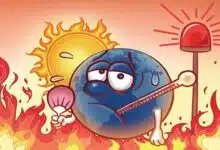 Marine heat waves: a major threat