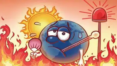 Marine heat waves: a major threat
