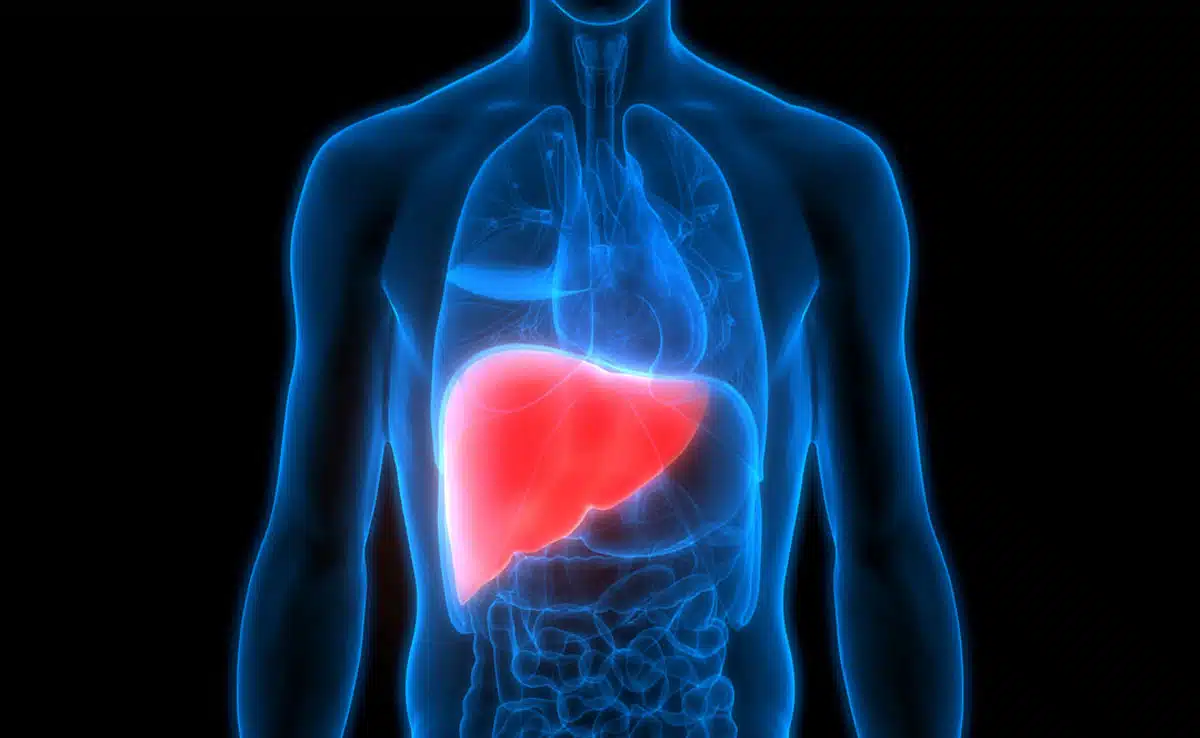 To detox the liver naturally, drink this water on an empty stomach in the morning, know the benefits.