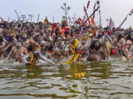 Importance of Maha Kumbh Mela