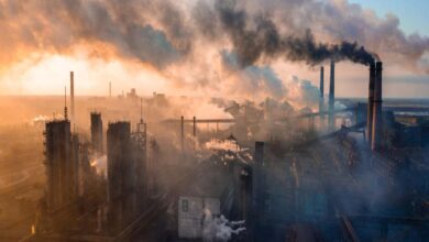List of 8 countries leading in the fight against pollution
