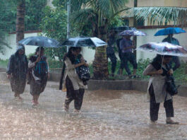 Cyclone Fengal causes heavy rain in Tamil Nadu, Puducherry; schools, colleges closed