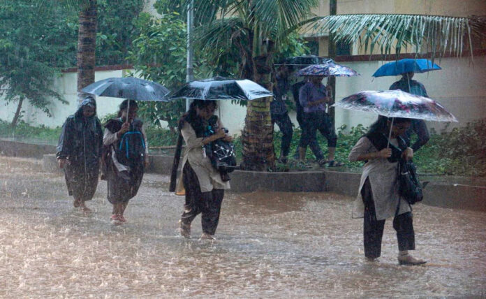 Cyclone Fengal causes heavy rain in Tamil Nadu, Puducherry; schools, colleges closed