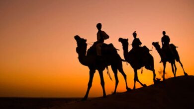 Culture of Rajasthan: A Rich Heritage