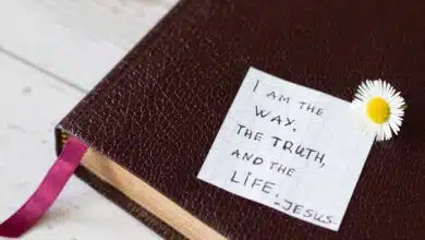 Evaluation of life